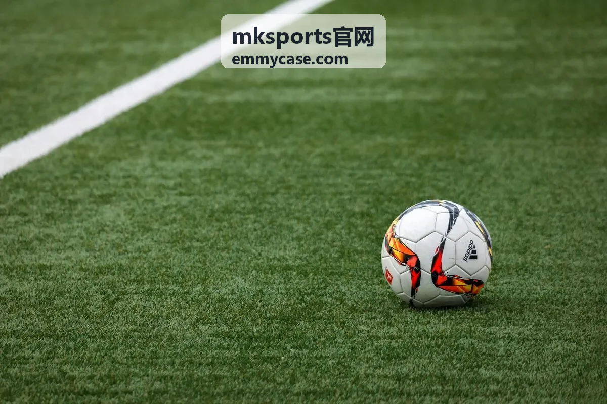 mksports官网会员权益对比页面展示图