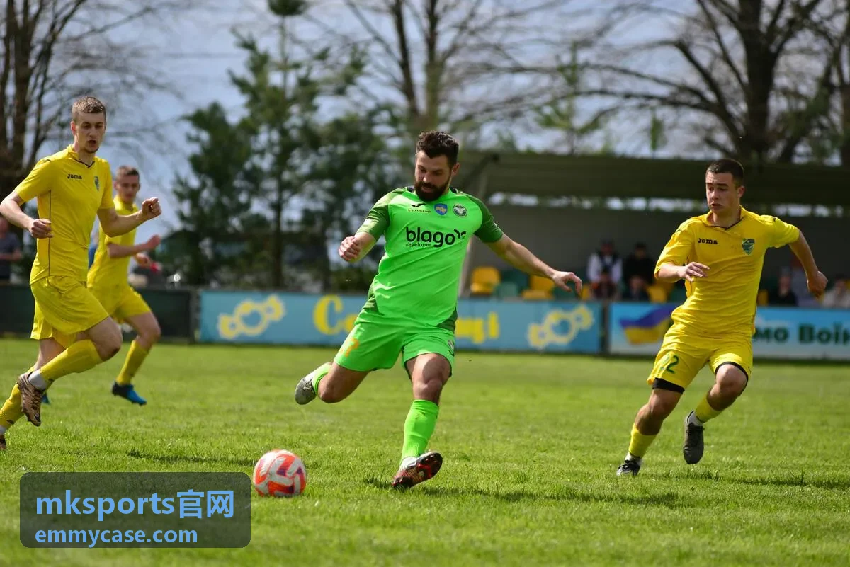 mksports官网高级档会员数据与线路示意