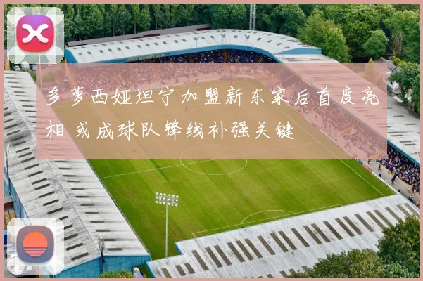 多萝西娅坦宁加盟新东家后首度亮相 或成球队锋线补强关键