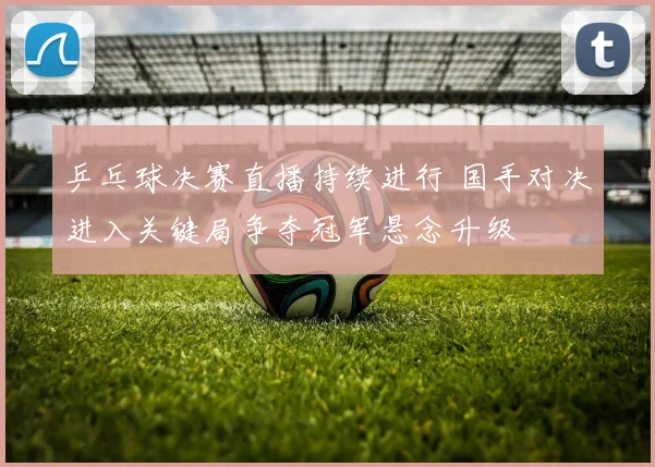 乒乓球决赛直播持续进行 国手对决进入关键局争夺冠军悬念升级