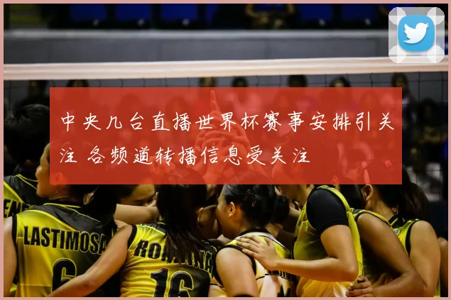 中央几台直播世界杯赛事安排引关注 各频道转播信息受关注