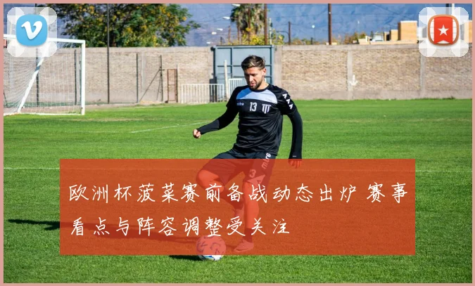 欧洲杯菠菜赛前备战动态出炉 赛事看点与阵容调整受关注