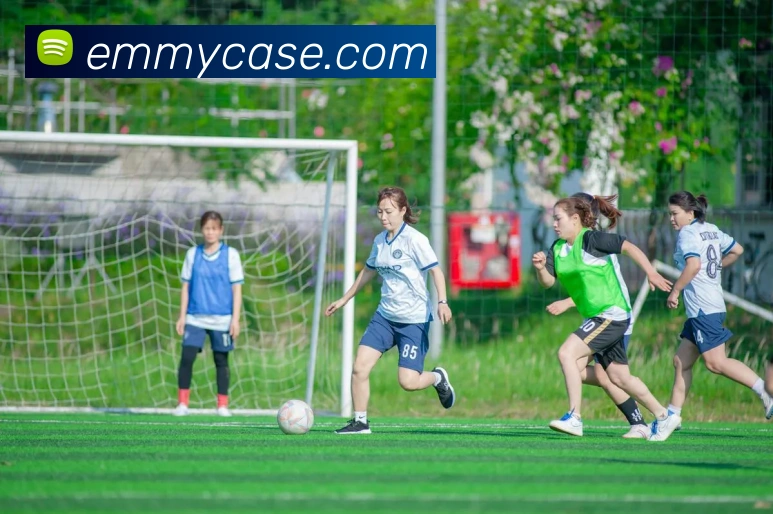 易倍emc中文官网平台生态图